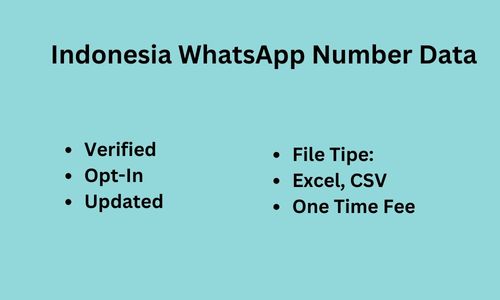 印度尼西亚 WhatsApp 数据