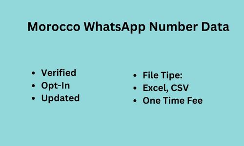 摩洛哥 WhatsApp 数据