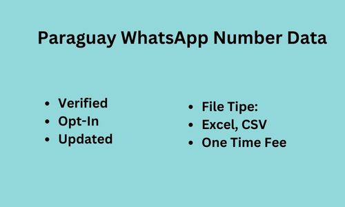 巴拉圭 WhatsApp 数据