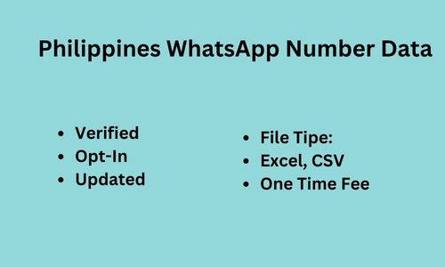 菲律宾 WhatsApp 数据