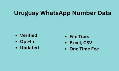 乌拉圭 WhatsApp 数据